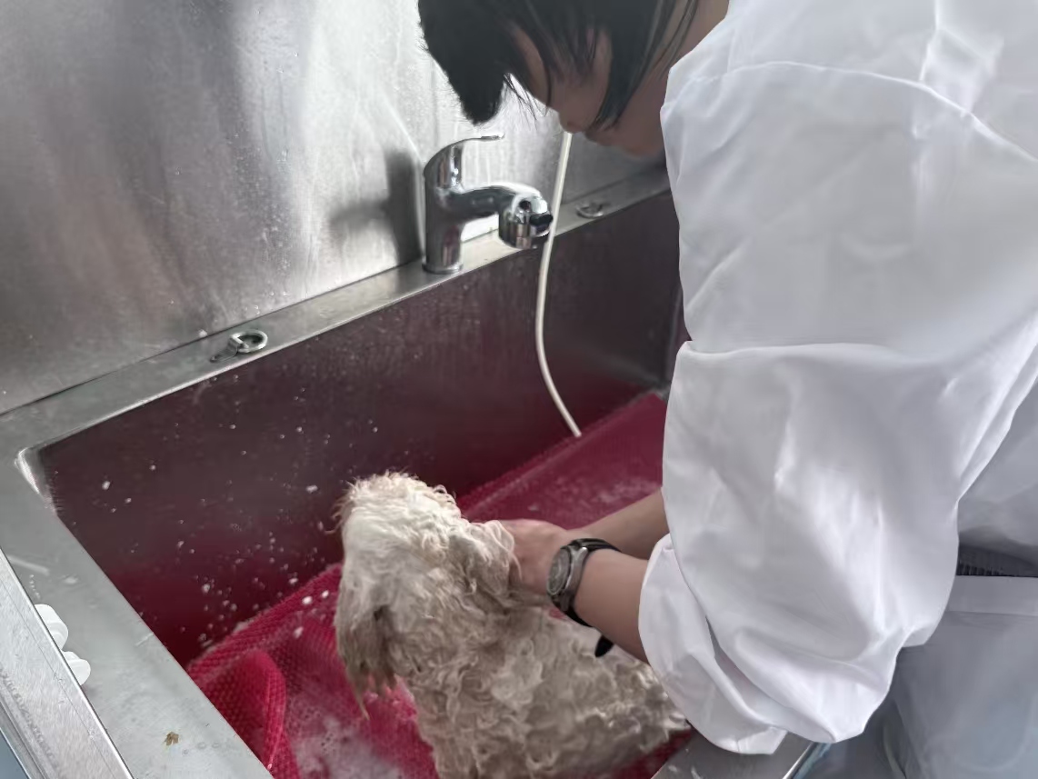 网站照片222222222.jpg